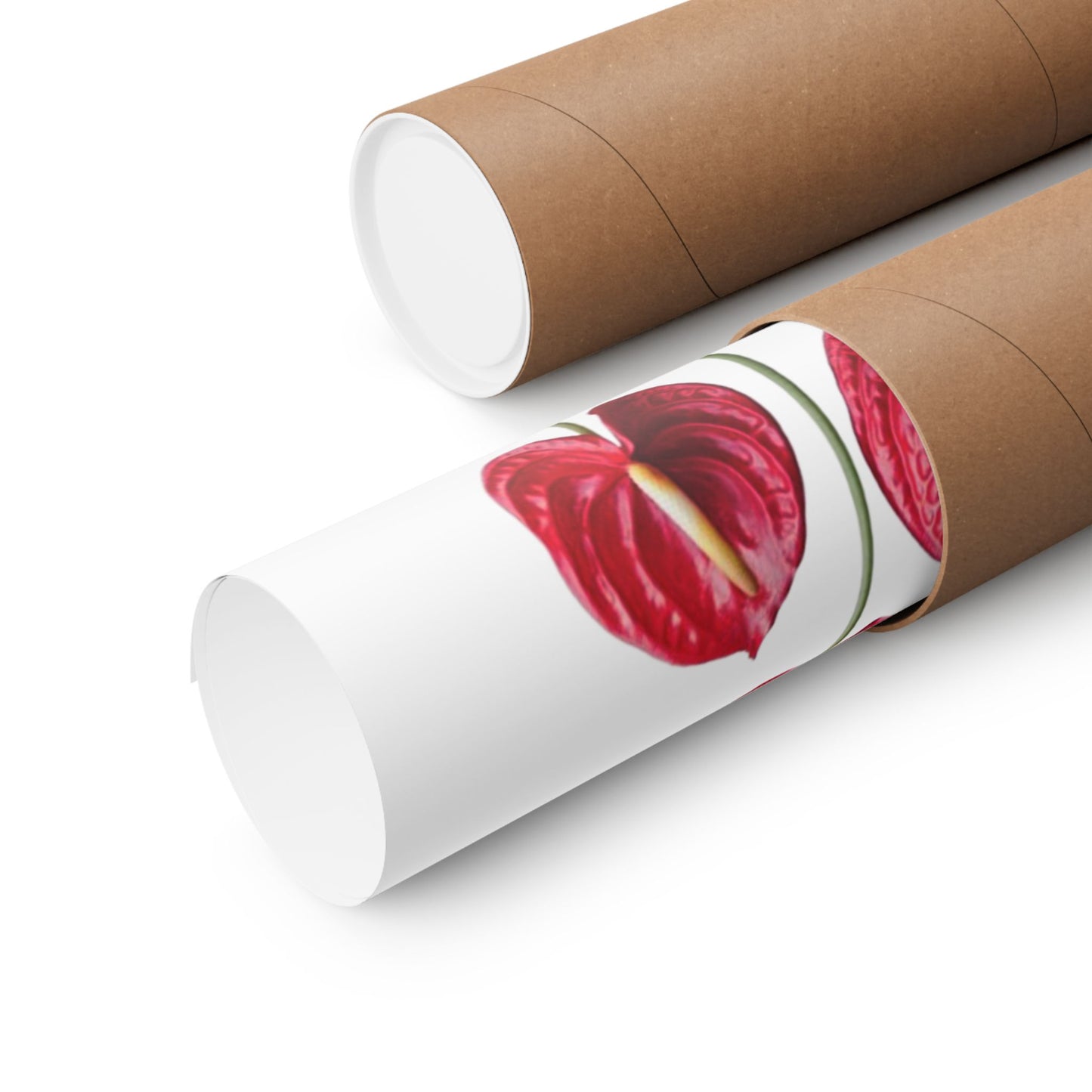 Anthurium Wall Art Poster