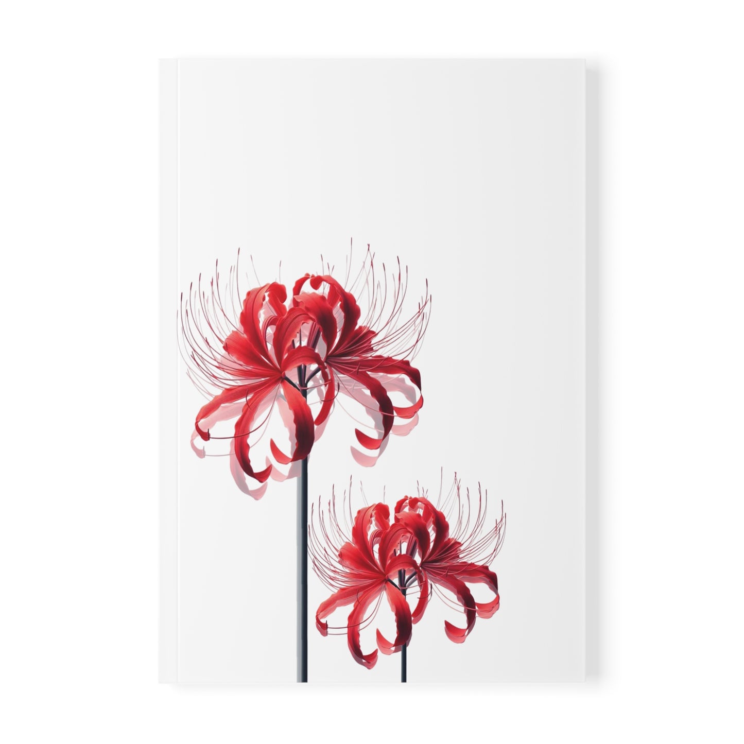 Red Spider Lilly Notebook A5