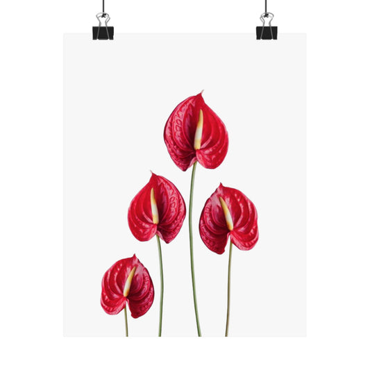Anthurium Wall Art Poster